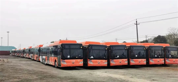 中远海运助力“中国制造”公交巴士出口欧洲2.jpg