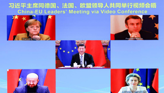 欧盟中国商会热烈祝贺中欧如期完成投资协定谈判