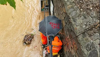 《周•知》| 暴雨突袭中国欧洲，驰援抢险企业在行动