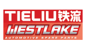 浙江铁流离合器股份有限公司/西湖欧洲公司